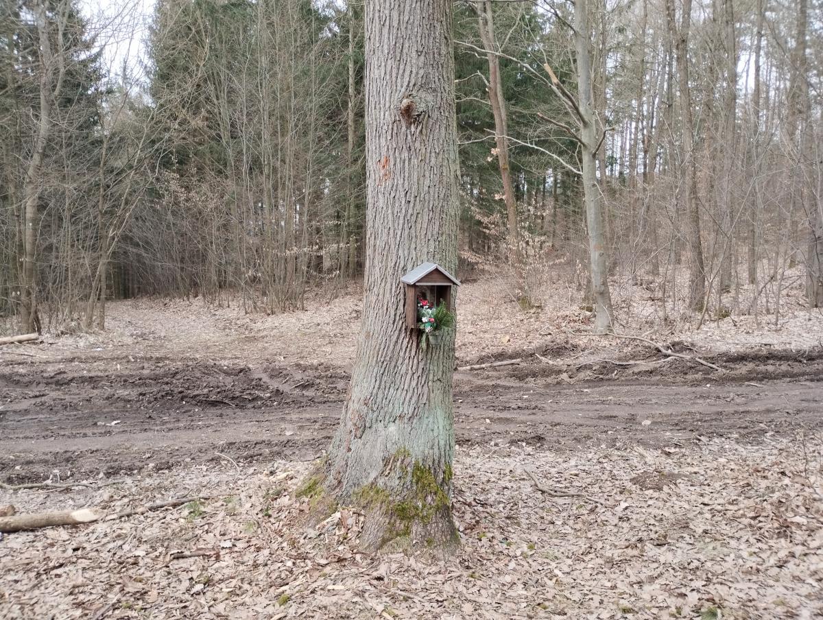 Fotografie objektu