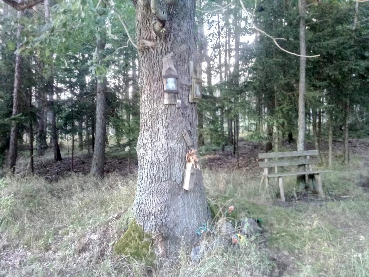 Fotografie objektu