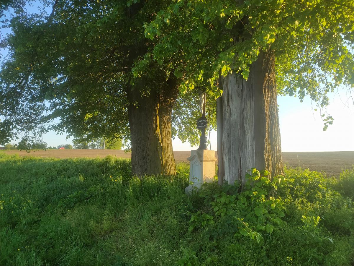 Fotografie objektu