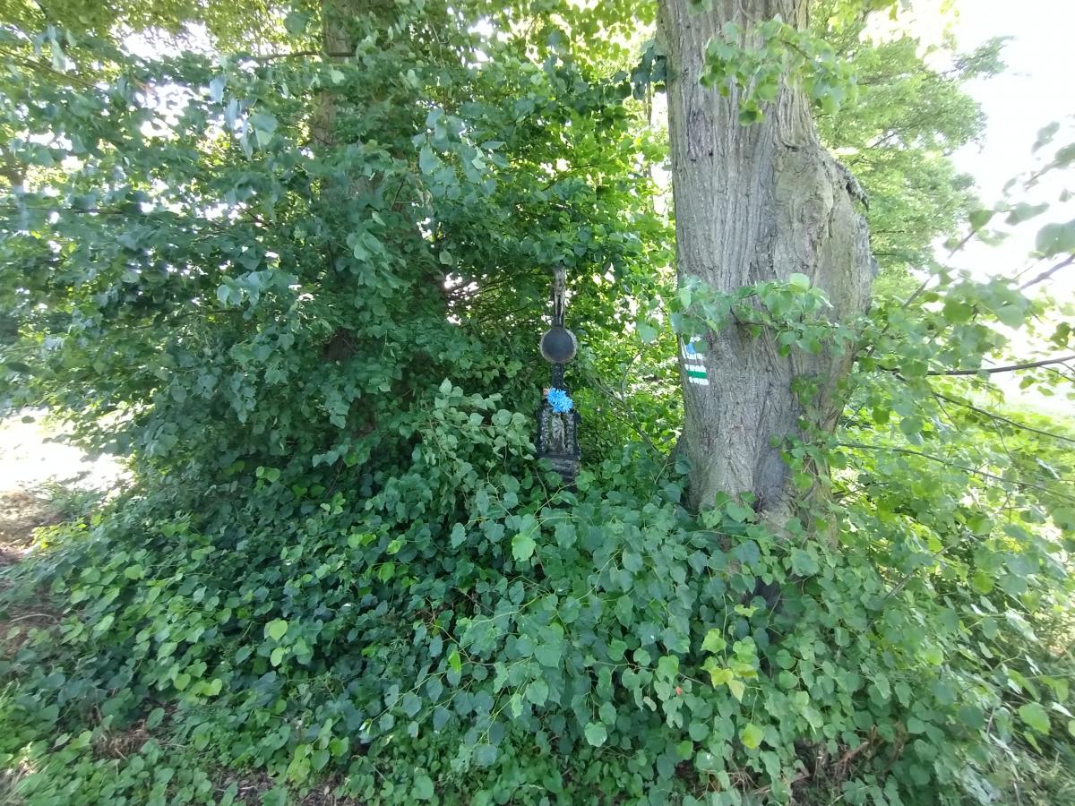 Fotografie objektu