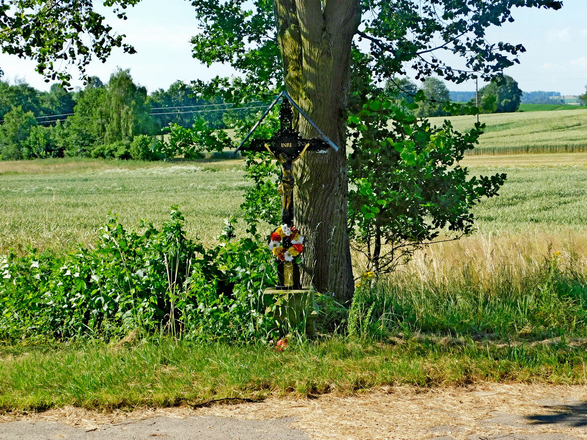 Fotografie objektu