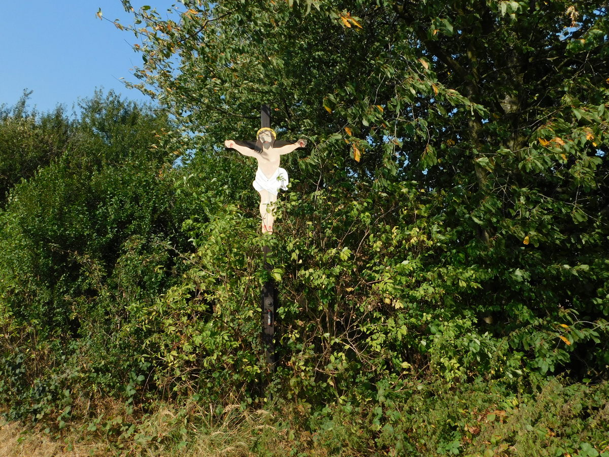 Fotografie objektu