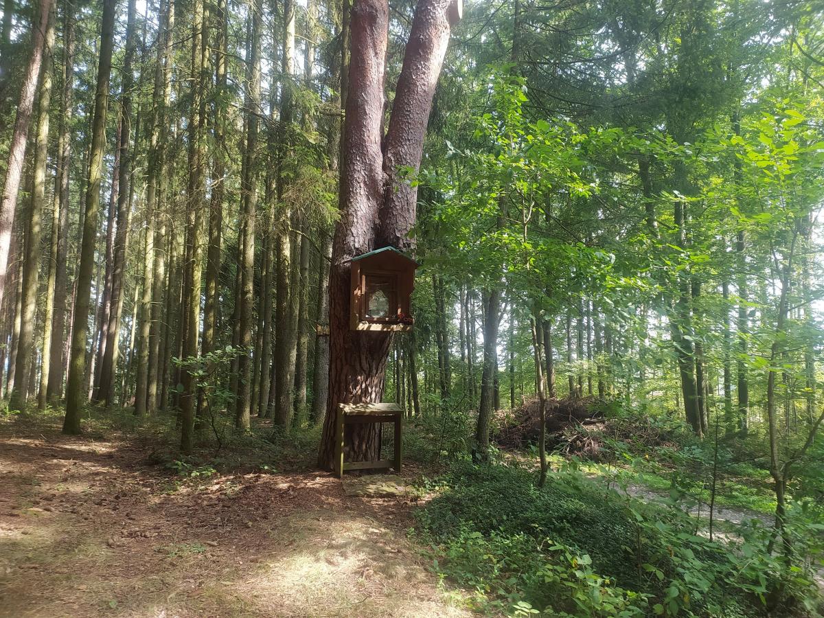Fotografie objektu
