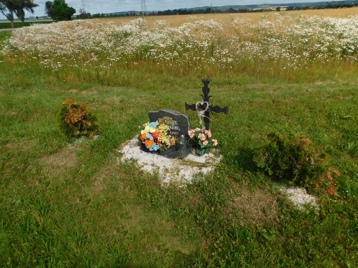 Fotografie objektu