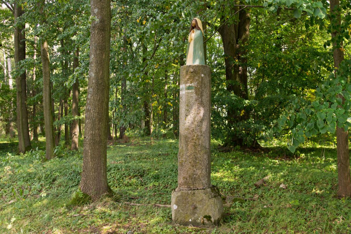 Fotografie objektu