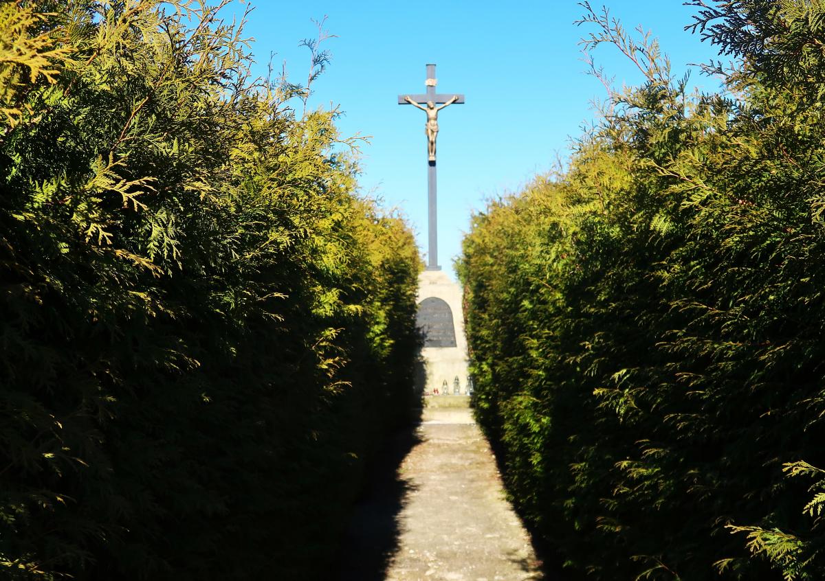 Fotografie objektu