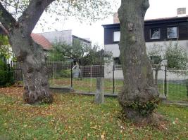 Fotografie objektu