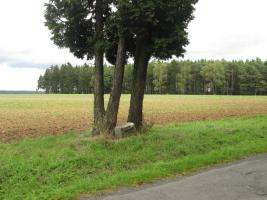 Fotografie objektu