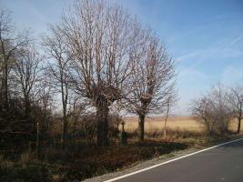 Fotografie objektu