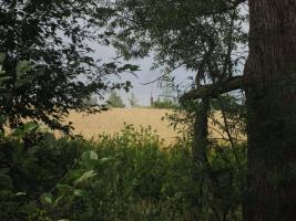 Fotografie objektu