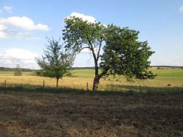 Patrně původní místo, kde kříž stával Fotografie objektu