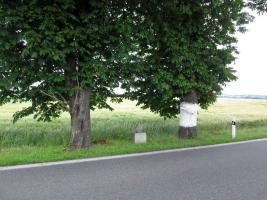 Fotografie objektu