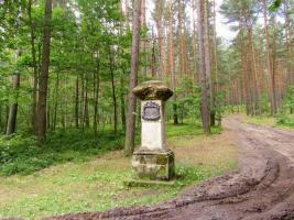 Kříž u Sosnové Fotografie objektu