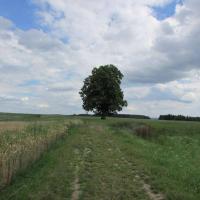 Fotografie objektu