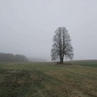 Fotografie objektu