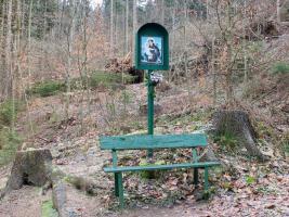Obrázek u Dolních Studének Fotografie objektu