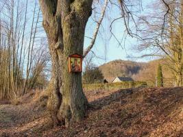 Obrázek v Bohutíně Fotografie objektu