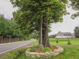Fotografie objektu