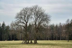 Celkový pohled na lokalitu, stav v r. 2021 Fotografie objektu