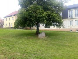 Fotografie objektu