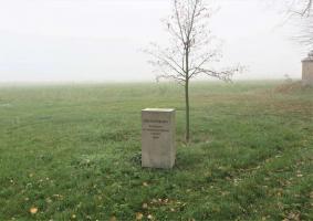 Fotografie objektu