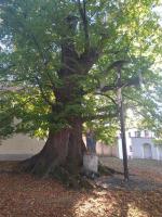 Fotografie objektu