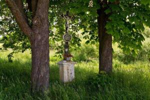 Fotografie objektu