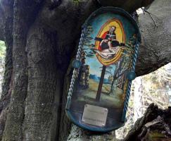 Obraz Nejsvětější Trojice na Třípackovém buku u Doubice Fotografie objektu