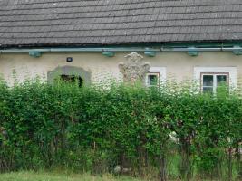 Fotografie objektu