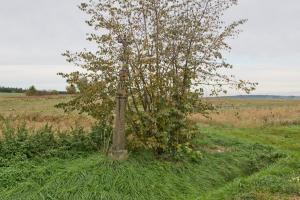 Fotografie objektu