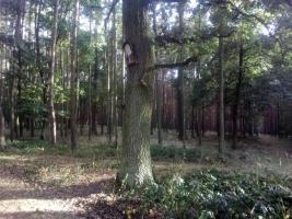 Fotografie objektu