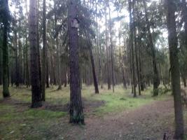 Fotografie objektu