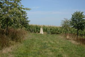 Pomník Desatero otců severně od Hřivice Fotografie objektu