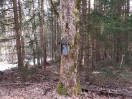 Obrázek u Mazanecké cesty ve Žďárském Potoku Fotografie objektu