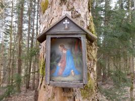 Obrázek u Mazanecké cesty ve Žďárském Potoku Fotografie objektu