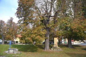 Zvonice u kříže na návsi v Drahobuzi Fotografie objektu